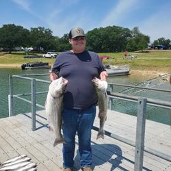 Two striped bass caught while fishing in Mead