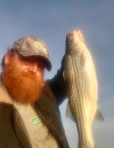 A white bass fish caught in OK