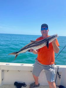 Cobia fish caught in FL