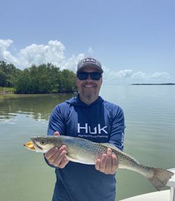 Spotted weakfish caught fishing in FL