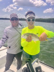 Crevalle Jack, 10-inch fish, fishing in FL