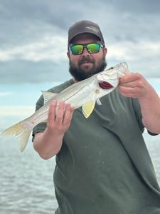 Snook fish caught while fishing in FL