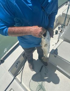 A scenic view of Tavernier, Florida while fishing
