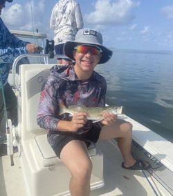 A great barracuda during fishing in Florida