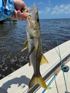 Scenic fishing spot in Florida