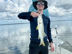 Snook fish caught in FL by a person