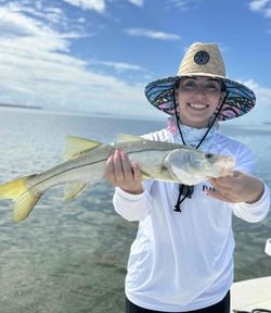 Snook caught while fishing in Florida