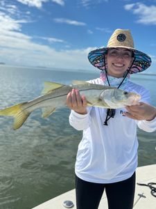 Snook fish caught in FL