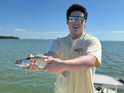 Speckled trout catch displayed on fishing boat in Tavernier FL waters