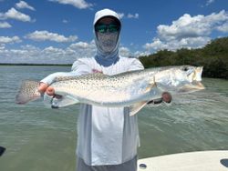 Speckled trout fishing catch in Tavernier FL shallow waters
