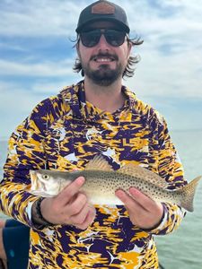 Speckled trout catch from Tavernier FL fishing trip