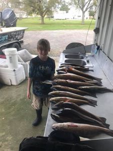 Four large fish caught in Golden Meadow