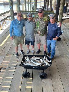 Four people enjoying a fishing trip in Golden Meadow