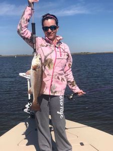 A lone redfish caught in LA
