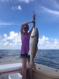 Redfish caught in Golden Meadow