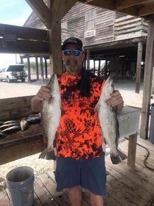 Two spotted weakfish caught in Golden Meadow