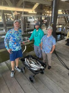 Three anglers fishing in LA with their catch