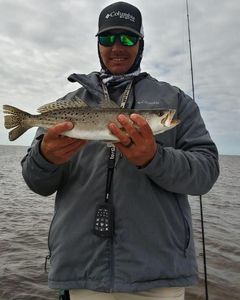 Speckled Trout Fishing on the Gulf Coast