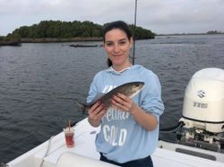 Fishing Florida like a pro- charters Crystal River