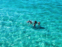 Explore The Crystal Clear Waters Of Palm Beach