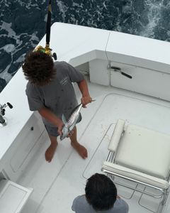 Just another catch after the other.