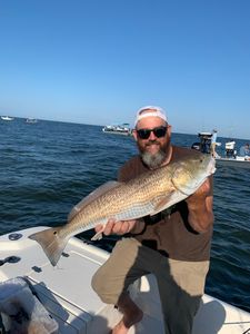 Thrilling Redfish Charters In Florida!