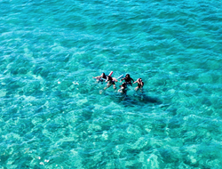 Boynton Beach cruises and fishing adventure
