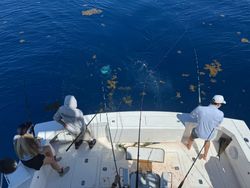 Boynton Beach Cruises and Fishing Adventure