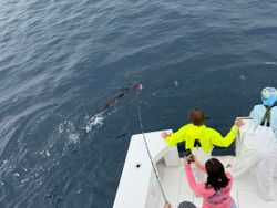 Boynton Beach fishing cruises