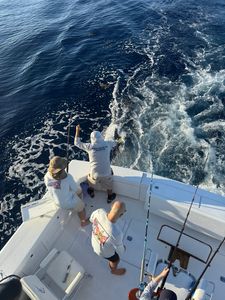 Fishing cruises and fishing trips in Boynton Beach