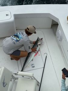 King Mackerel caught during cruises and fishing trip in Boynton Beach