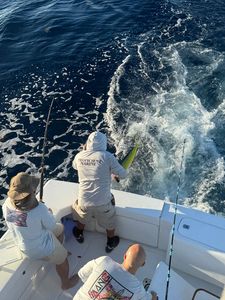 Scenic view of FL coastline during fishing cruises