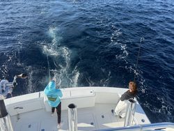 Exhilarating cruises and fishing adventures in Florida