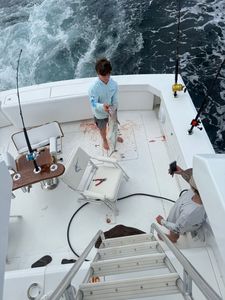 Fishing cruises and adventures in FL