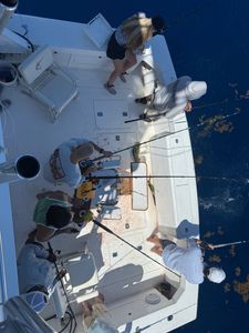 A person fishing from a boat in Florida