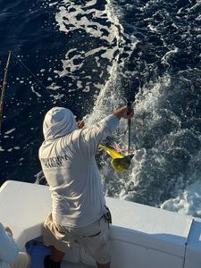 Scenic view of Florida coastline from fishing cruise