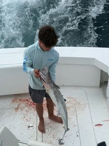 Great Barracuda caught in FL