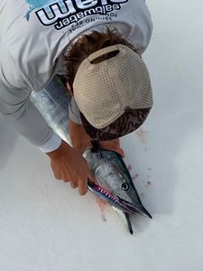 A single King Mackerel fish caught while fishing in FL