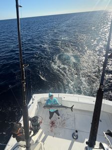 Wahoo fish caught in FL during cruises and fishing activities