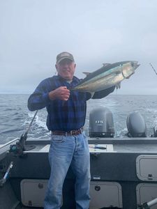 Blackfin tuna caught while fishing in Charleston Oregon waters