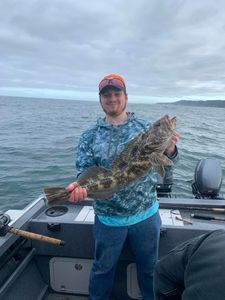 Lingcod catch on fishing boat in Charleston Oregon waters