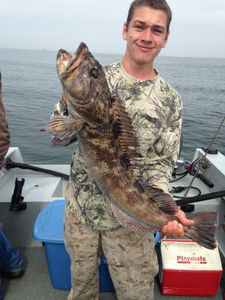 Large lingcod caught while fishing in Charleston, Oregon waters