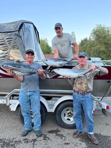 Three fishermen displaying albacore and yellowfin tuna catch from Charleston Oregon fishing trip