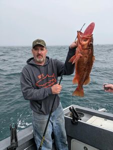 Vermilion rockfish caught while fishing off Charleston Oregon coast