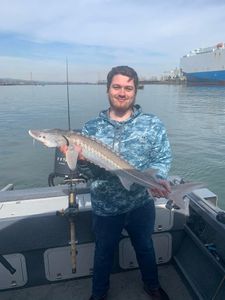 White sturgeon catch displayed on fishing boat in Charleston OR waters