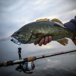 Fishing in Florida