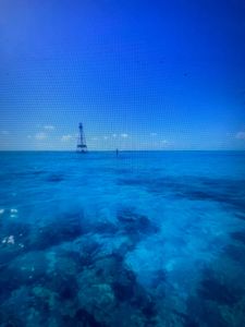 Crystal clear blue ocean water with coral reef visible beneath surface and boats in distance in Florida City FL