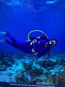 Scuba diver exploring coral reef restoration site underwater in Florida City FL
