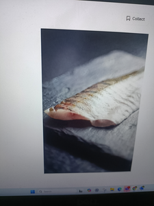 Fish-Species