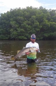 Hook, line, and Reel Good Times in Florida!